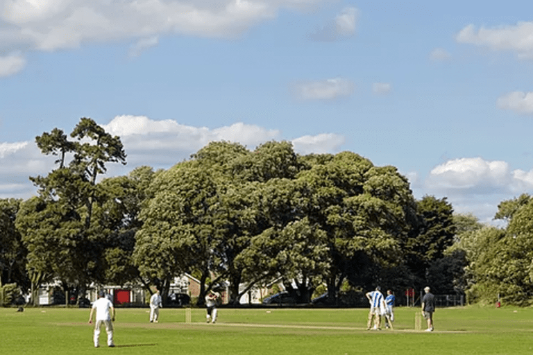 Cricket: Set Yourself Apart From The Field