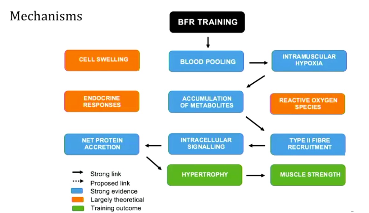 How Blood Flow Restriction Can Improve Strength